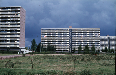 5077 Immerloo, 1980-1985