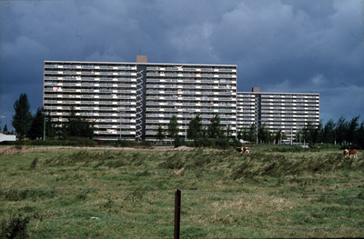 5078 Immerloo, 1980-1985