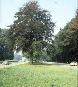 69 Amsterdamseweg, ca. 1980