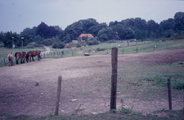 1313 Hertshoornstraat, 1990 - 2000