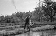 9368 Forellenkwekerij Sonsbeek, 18-06-1947