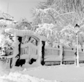 1904 Arnhem, Zijpendaalseweg, 1958