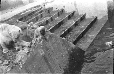 452 Arnhem verwoest, 1940