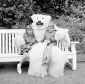 4889 Ouwehands Dierenpark, 1966