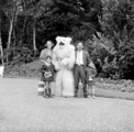 4891 Ouwehands Dierenpark, 1966