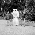 4894 Ouwehands Dierenpark, 1966
