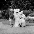 4905 Ouwehands Dierenpark, 1966