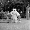 4919 Ouwehands Dierenpark, 1966
