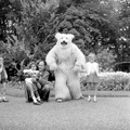 4931 Ouwehands Dierenpark, 1966
