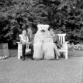 4953 Ouwehands Dierenpark, 1966