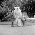 4957 Ouwehands Dierenpark, 1966