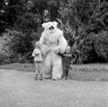 4959 Ouwehands Dierenpark, 1966