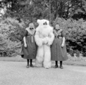 4970 Ouwehands Dierenpark, 1966