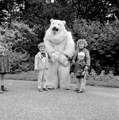 5001 Ouwehands Dierenpark, 1966