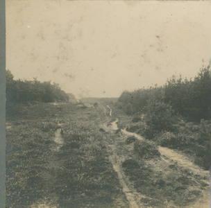 3142 Zandweg naar de renbaan, 1910 - 1930