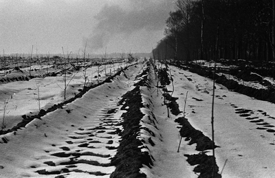 2541-0001 Winters landschap, 15-02-1978
