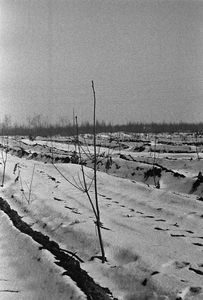 2541-0002 Winters landschap, 15-02-1978