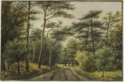 477 Noordwijker bosch. Bosch gezigt tusschen Noordwijk Binnen en Noordwijkerhout, 1874