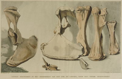 39 Eenige beenderen bij het doorbreken van den dijk, bij Loenen, door het water opgeworpen, 1809