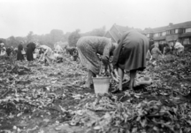 1975 VOEDSELVOORZIENING, najaar 1943