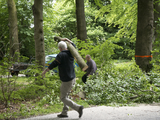 203 Noodkap 8 bomen voor de Veiligheid, 27-05-2015