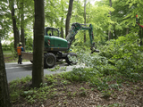 204 Noodkap 8 bomen voor de Veiligheid, 27-05-2015