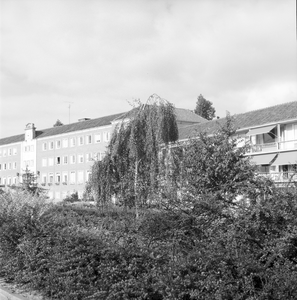 104 Drie Gasthuizen, ca. 1960