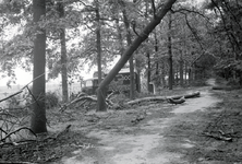 692 Weg achter het Bos, 1945