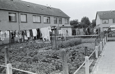 6761 de Witte Stad, 1977 - 1982
