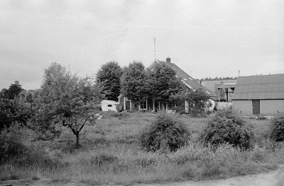 8254 Heelsum, Kabeljauw, 1980-1982
