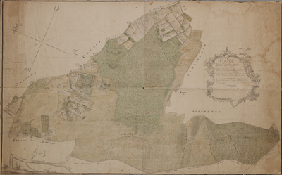 5846 Kaart van het Nederrijkswald met de daarin gelegen gecultiveerde landerijen, 1765