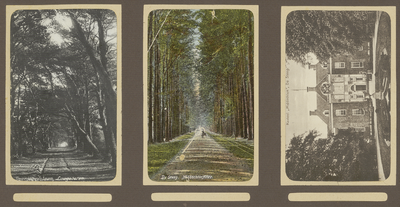 39-0012 Drie prentbriefkaarten van verschillende locaties in Laagsoeren en De Steeg, 1900-1910