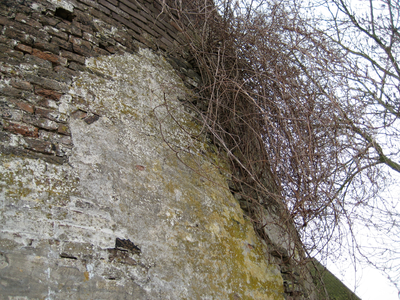 10881 oude vergane romp van de Maasbommelsche korenmolen met afgebrokkelde bakstenen in het straatbeeld, 05-03-2009