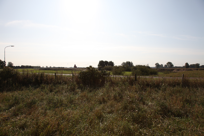 11013 Molen Batenburg biotoop naar Zuidoosten, 21-09-2009