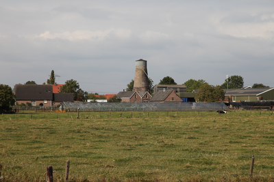 3455 romp molen De Welvaart met op de voorgrond weiland, 25-09-2009