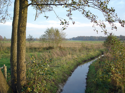 4003 waterloop (Vlasbeek) en weilanden, 29-10-2004