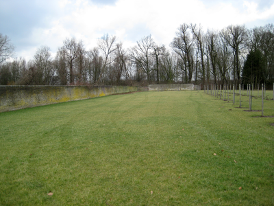 7967 jonge aangeplante bomen op landgoed Loenen omzoomd door muur, 11-02-2009