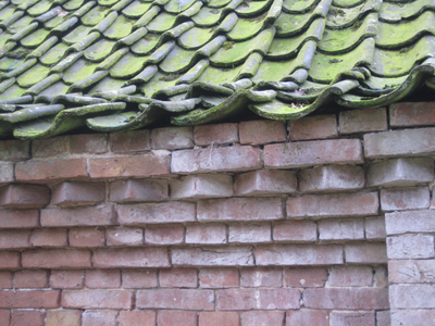 7980 bijzondere overgang van dakpannen naar muur door middel van bakstenen in zaagtand verband landgoed Loenen, 25-01-2012