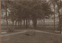 6 Westerbroek : Vaartwijk : oprijlaan, gezien vanaf het huis, 1890-1900