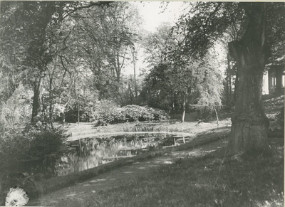3222 Groningen : Nieuweweg 12 : tuin van H. Hommes / Kramer, P.B., 1920