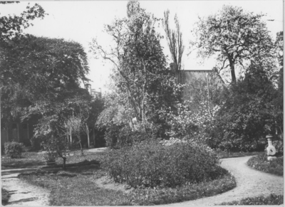 3224 Groningen : Nieuweweg 12 : tuin van H. Hommes / Kramer, P.B., 1920