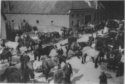 20137 Groningen : Oosterhoogebrug : paardenvordering voor het Nederlandse leger, 1939