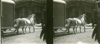 81 Kermis : wagen van een kermisexploitant getrokken door een paard, ca 1920