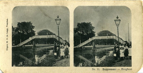 96 No. 11 Sappemeer : hooghout, ca 1908