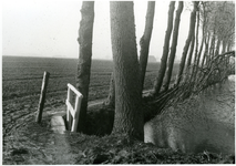 619 Landschap met pad langs binnenwater omzoomd door rij bomen, zj