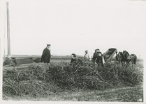 5719 Aardappelcampagne bij Muntendam / Herwig, R.H., 1920-1940