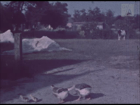 AV7761 Hooien en roggen / B.E. Dijk en C.S. Dijk-Weering, 1940