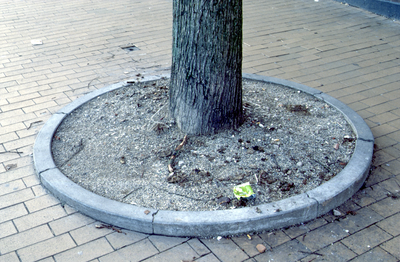 107 Kwaliteit van de openbare ruimte - Binnenstad - Afval bij boom, zj