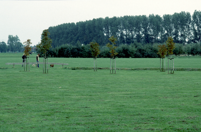 1120 Oosterhoogebrug - De Hunze - toegangswegen en groenvoorzieningen / Emaar, Chris, 1993