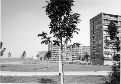 1891 Rottumerplaat : park en flats / Douma, M.A., 1973-09-04